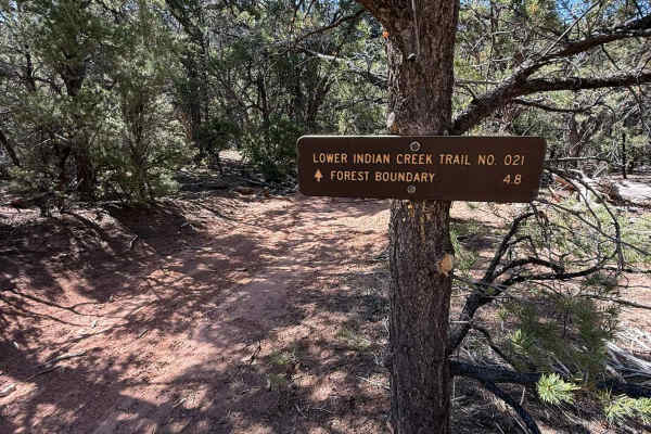 Lower Indian Creek Trail No. 021