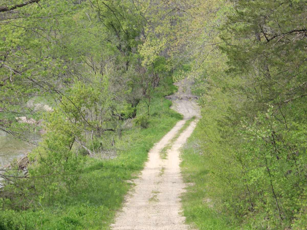 Big Springs Old Log Road photo 4