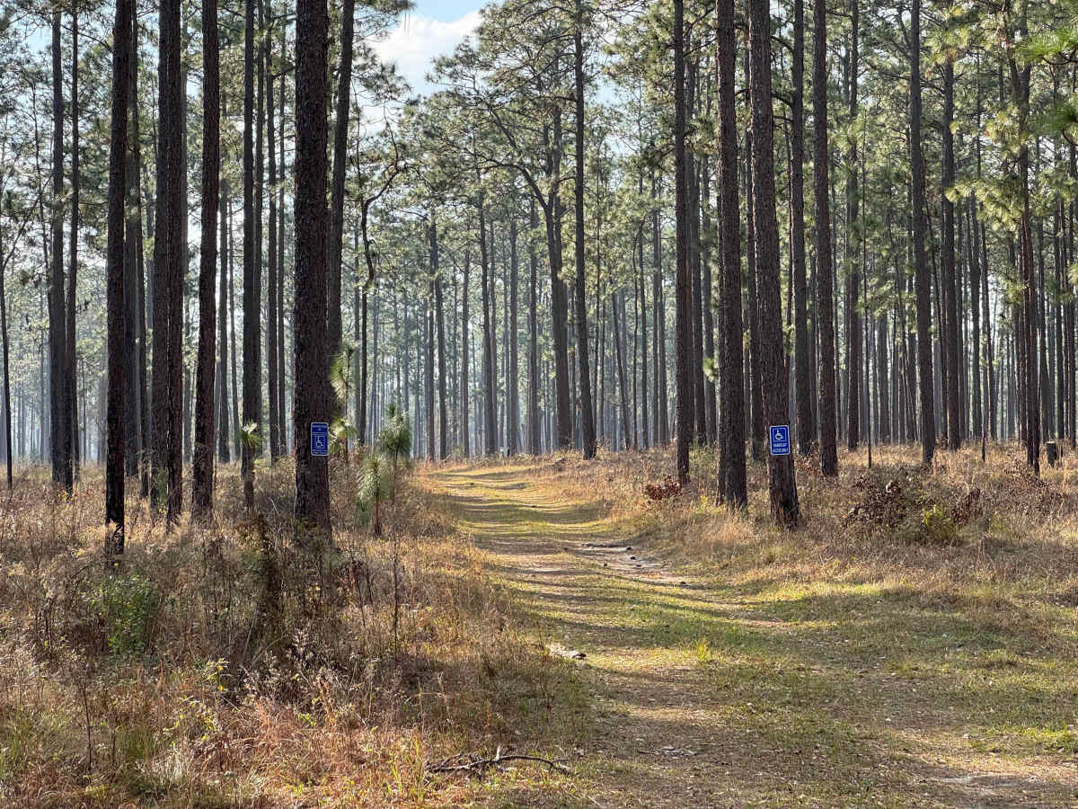 Star Pond Trail photo 6