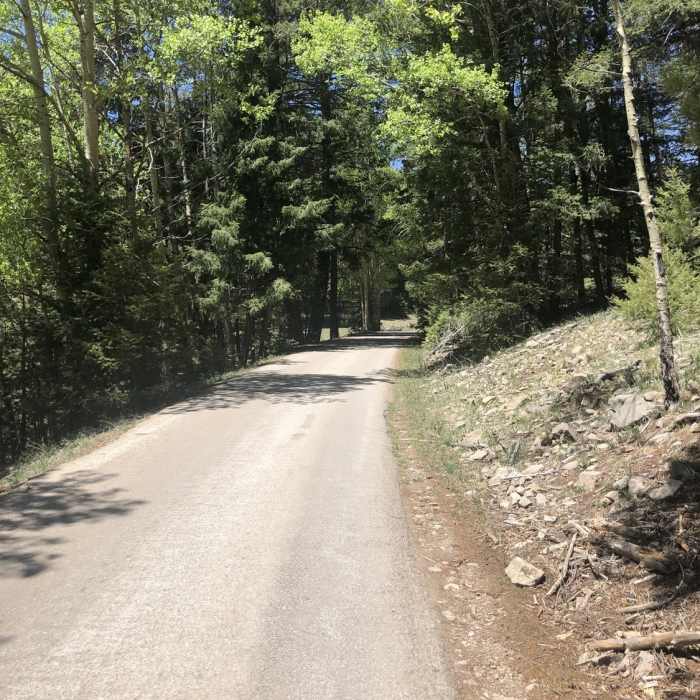 Near Forest Road 223