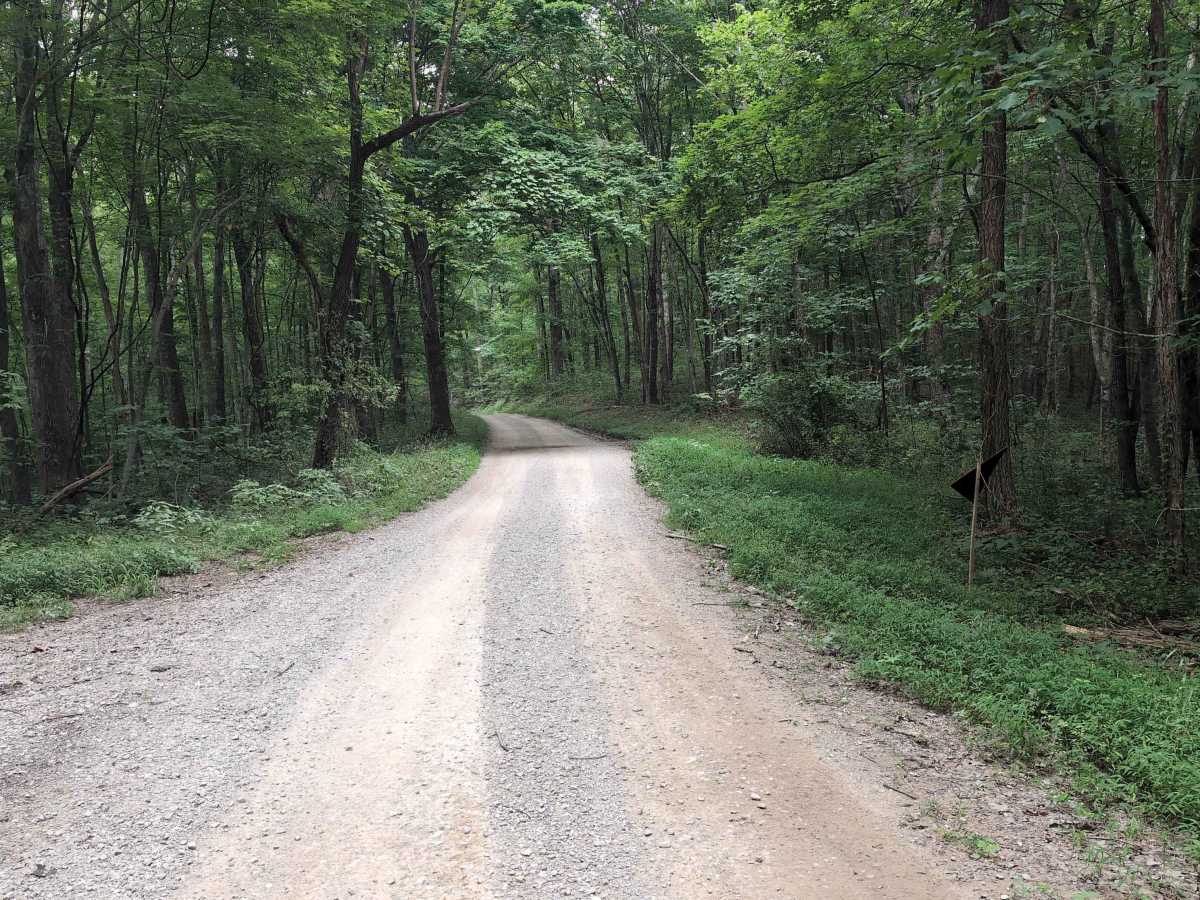 Elsam Fork Road - FS 345 trail photo