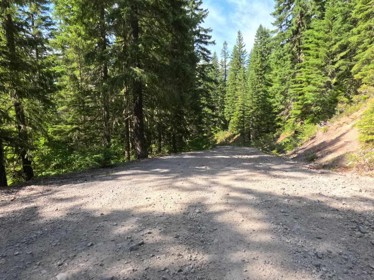 Elk Lake - FS 4697 photo 3