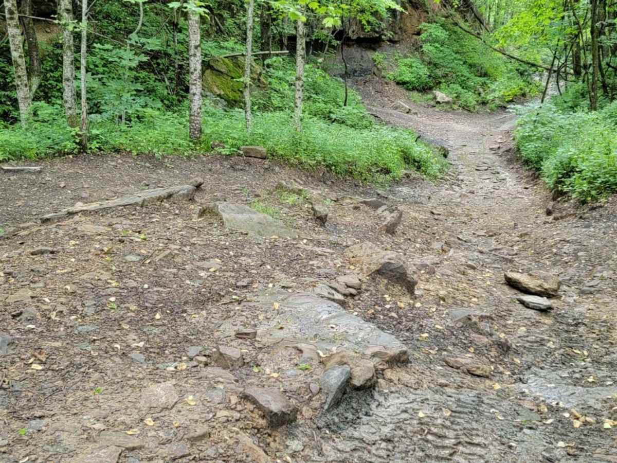 Trail 4 photo 5