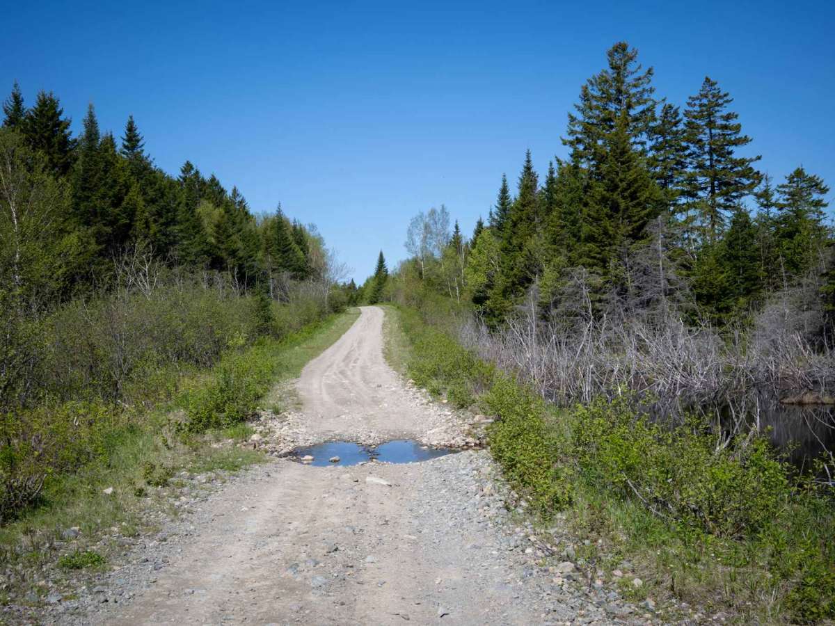 Crossroad Trail photo 2