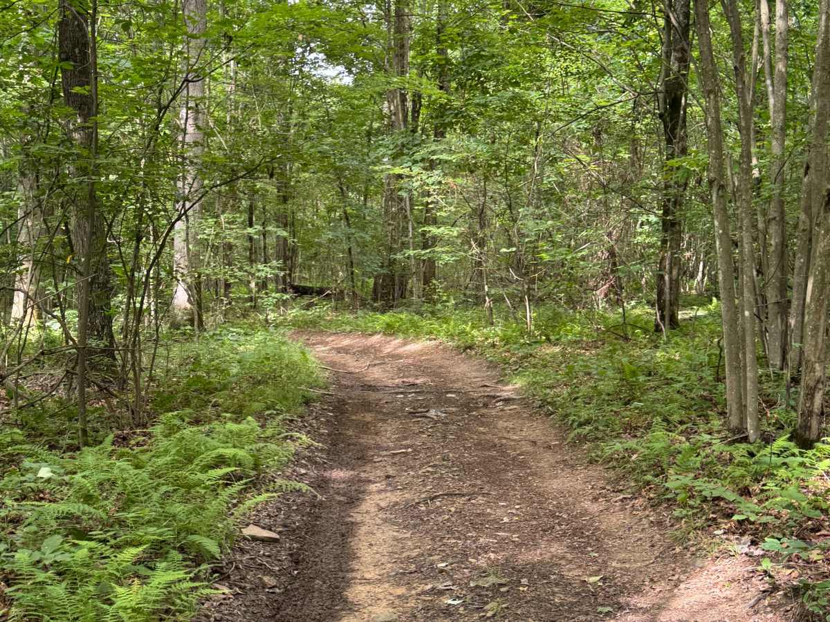 Trail 19 photo 6