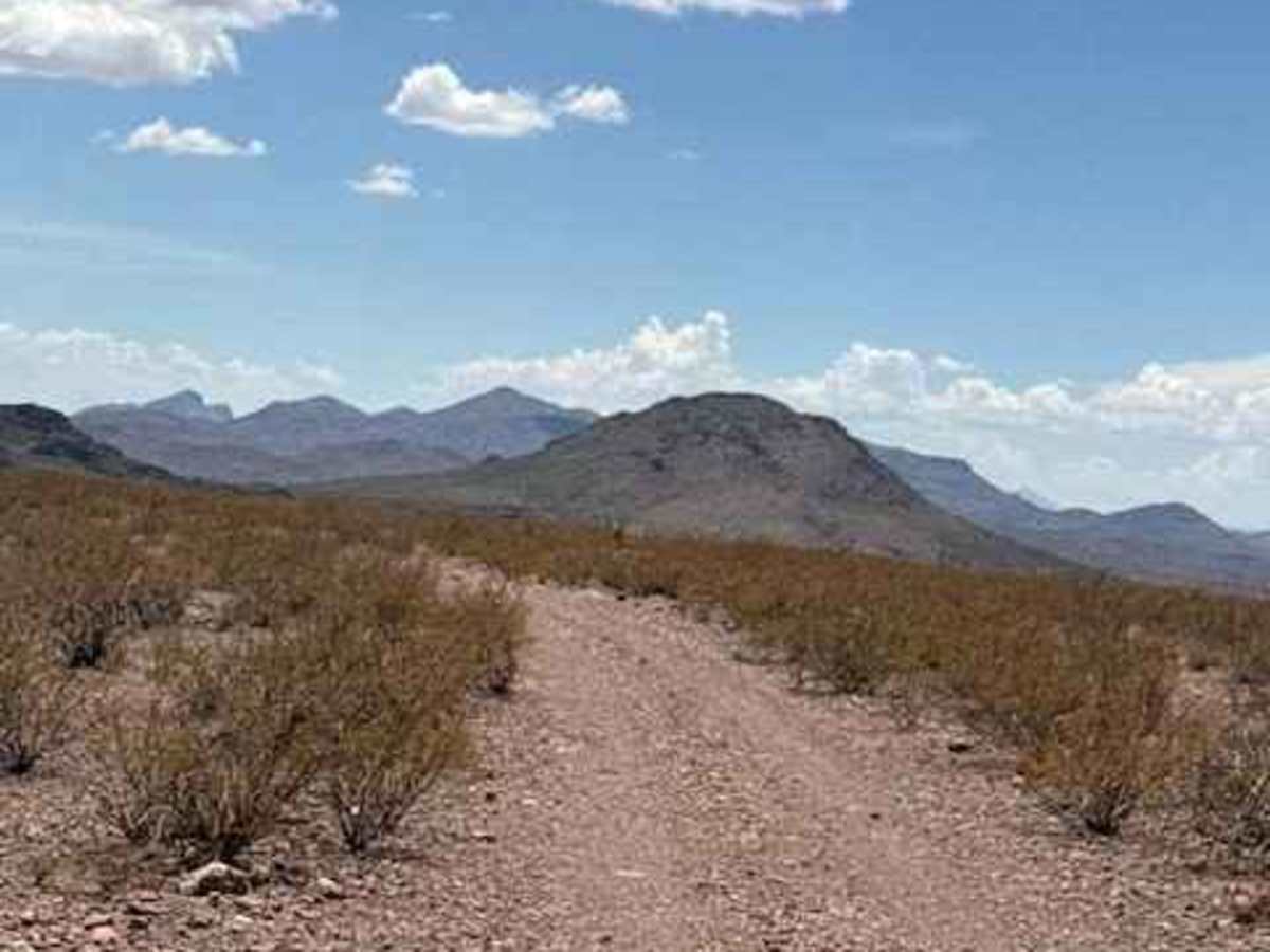 BLM PE1142 trail photo