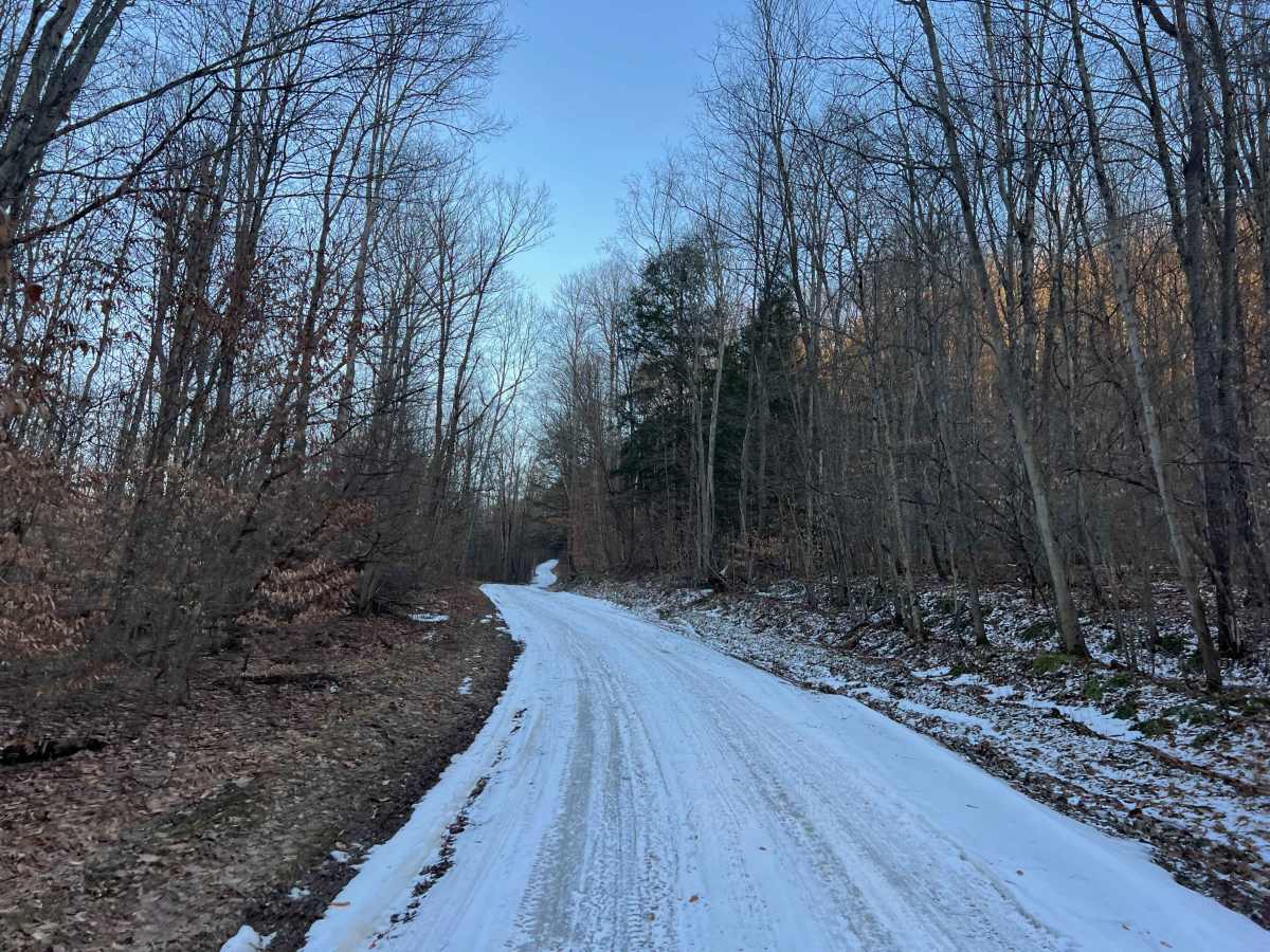 Tyler Road photo 5