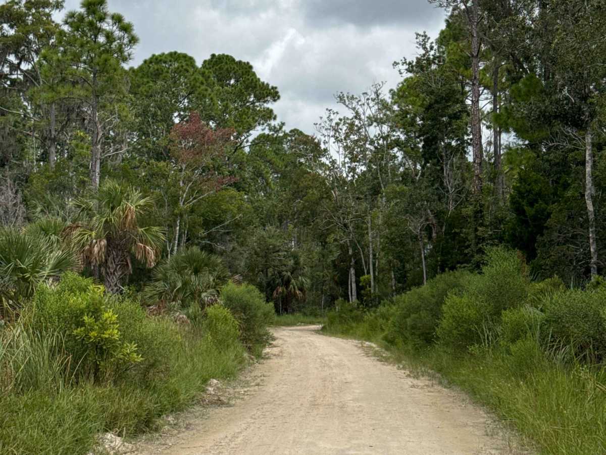 Salt Creek Road photo 6