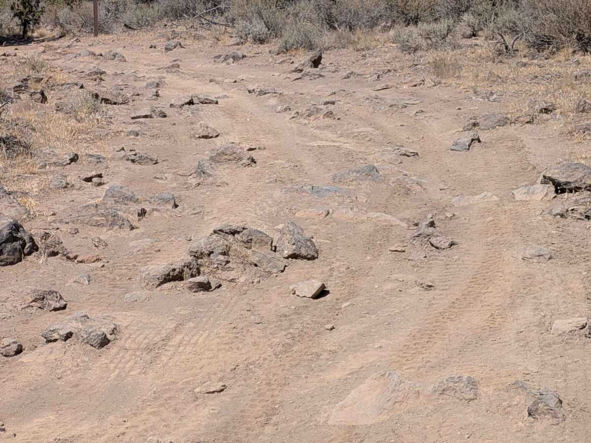 Cline Buttes Off Highway Vehicle Trail 49 photo 2