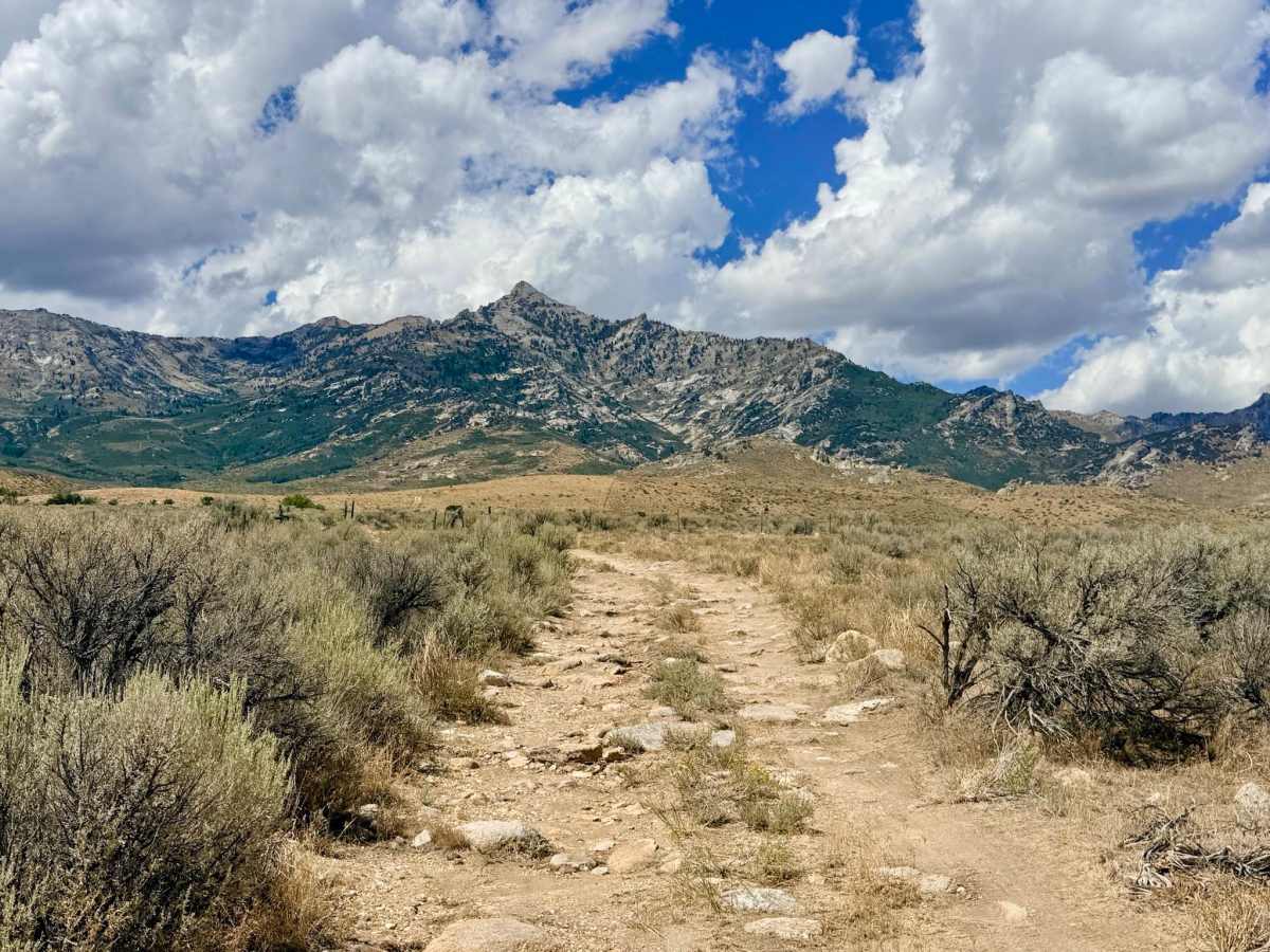 Colonel Moore North - FS 57503 trail photo