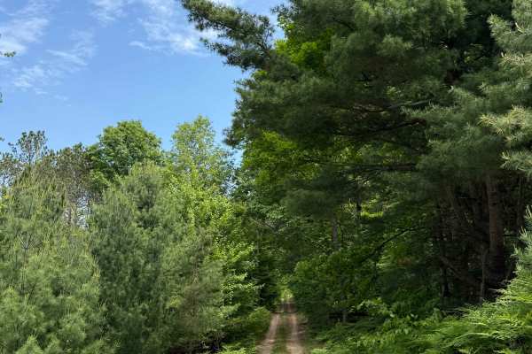 Vinton Trail West
