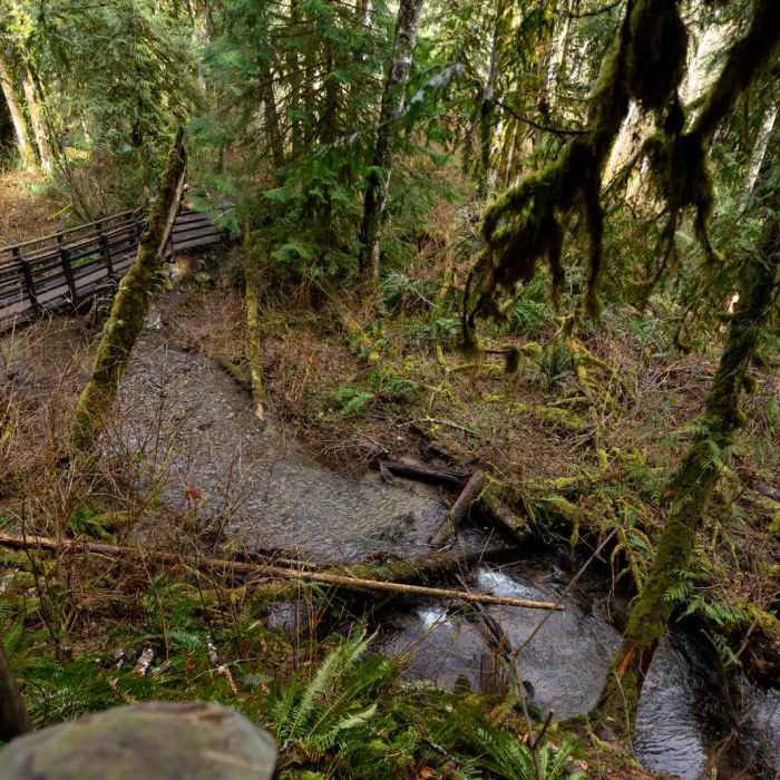 Near Wallace Falls Out and Back