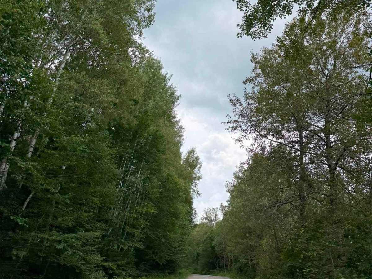 Chemin Guérette trail photo