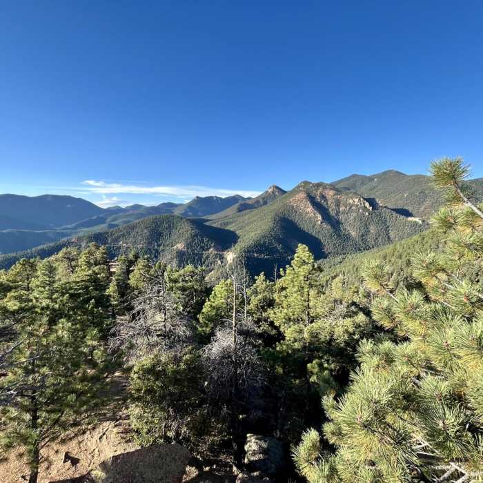 Near Mount Buckhorn Loop