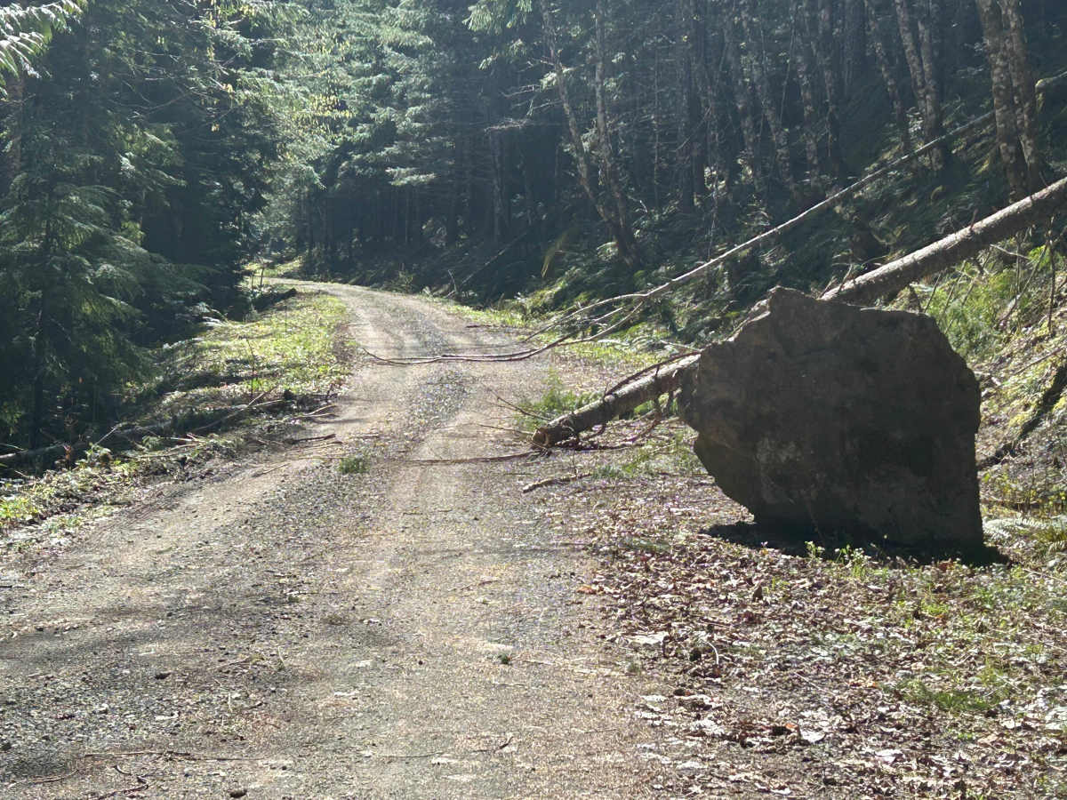 Lava Creek Road photo 5
