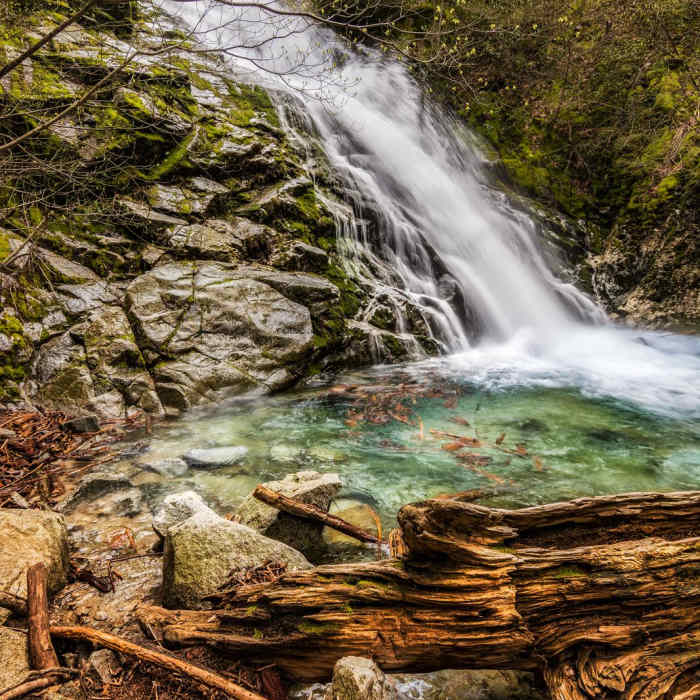 Near Whiskeytown Falls