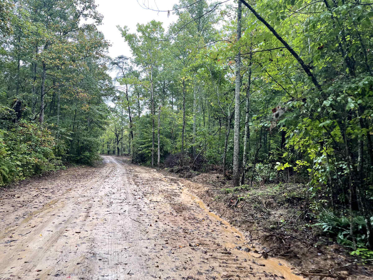 Myatt Creek Road  trail photo