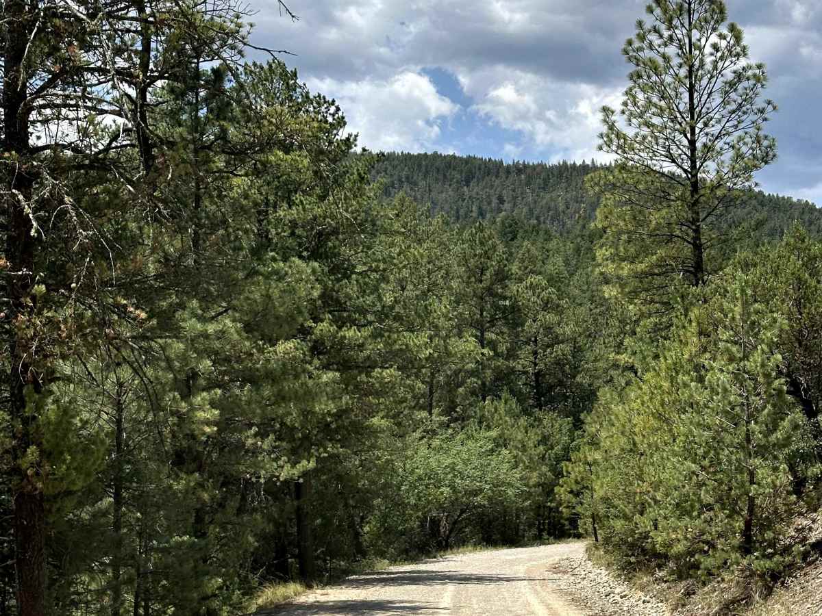 Bear Canyon photo 6