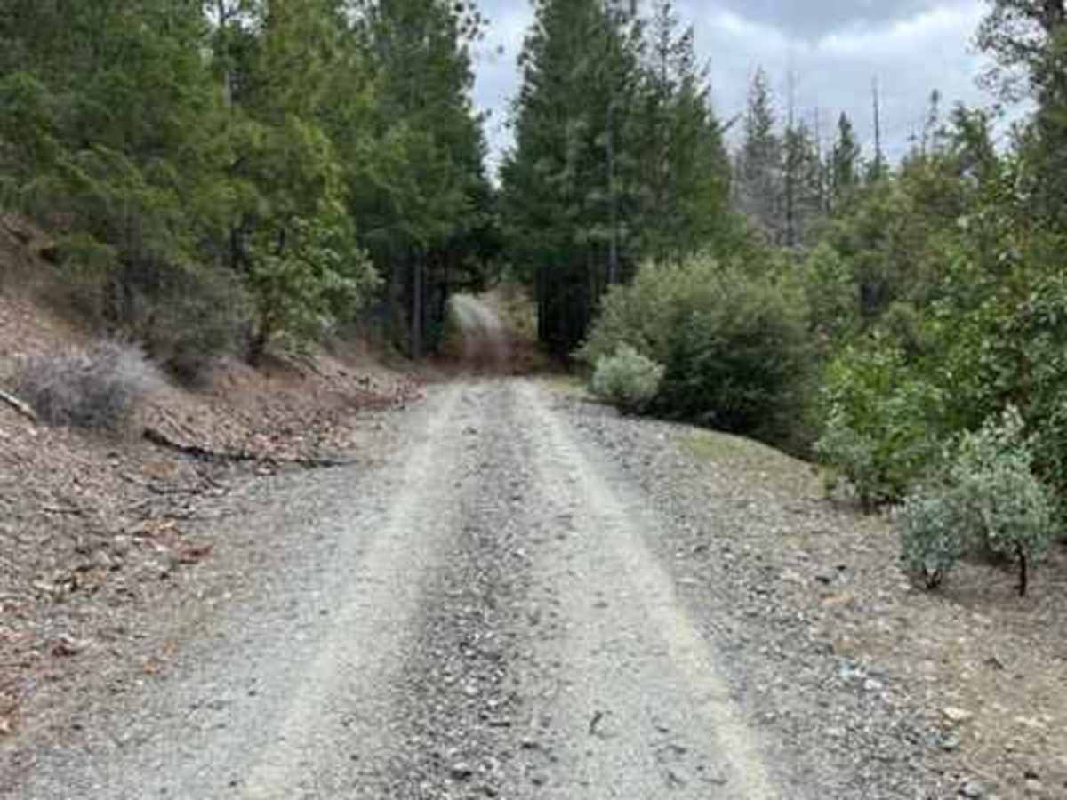 Spur Road trail photo