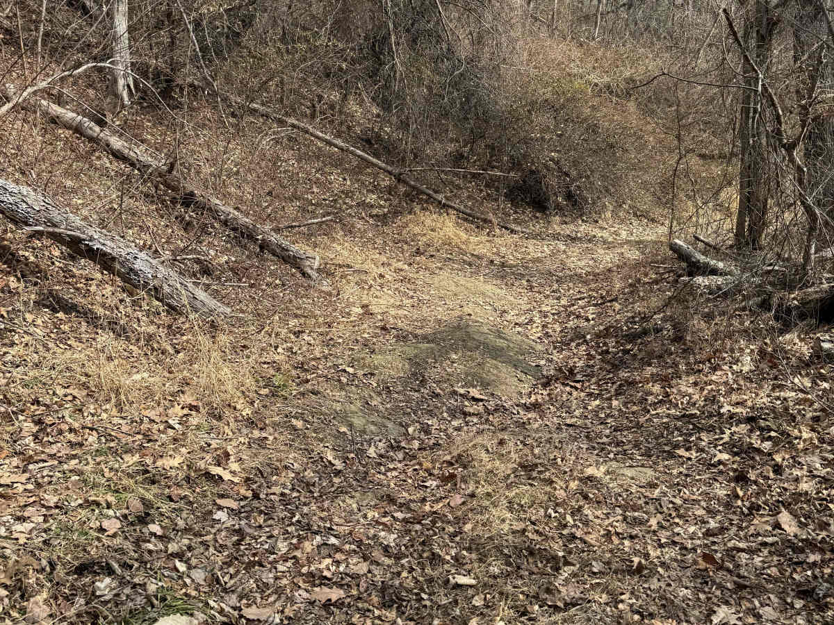 Browns Gap Turnpike photo 6