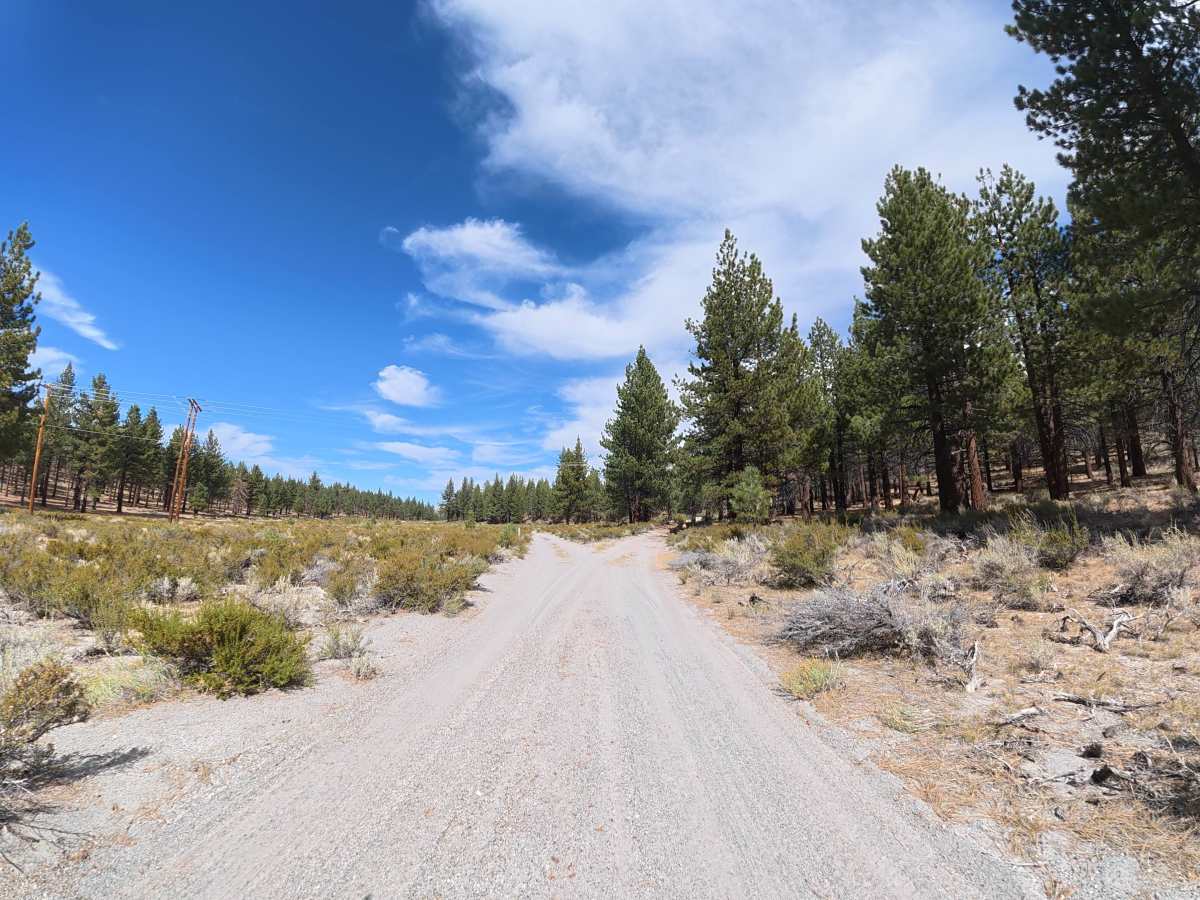 Timber Road - FS 1S39 photo 6