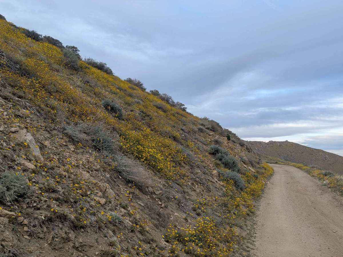 Horse Mountain - FS 27S11 photo 6