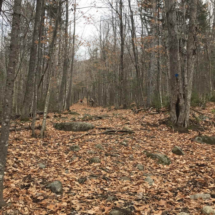 Near Doublehead Ski Trail