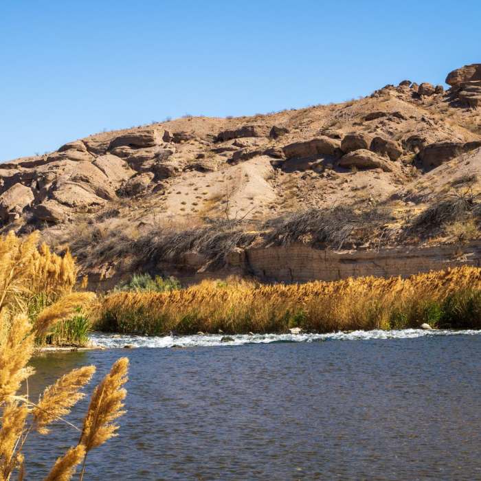 Near Las Vegas Wetlands
