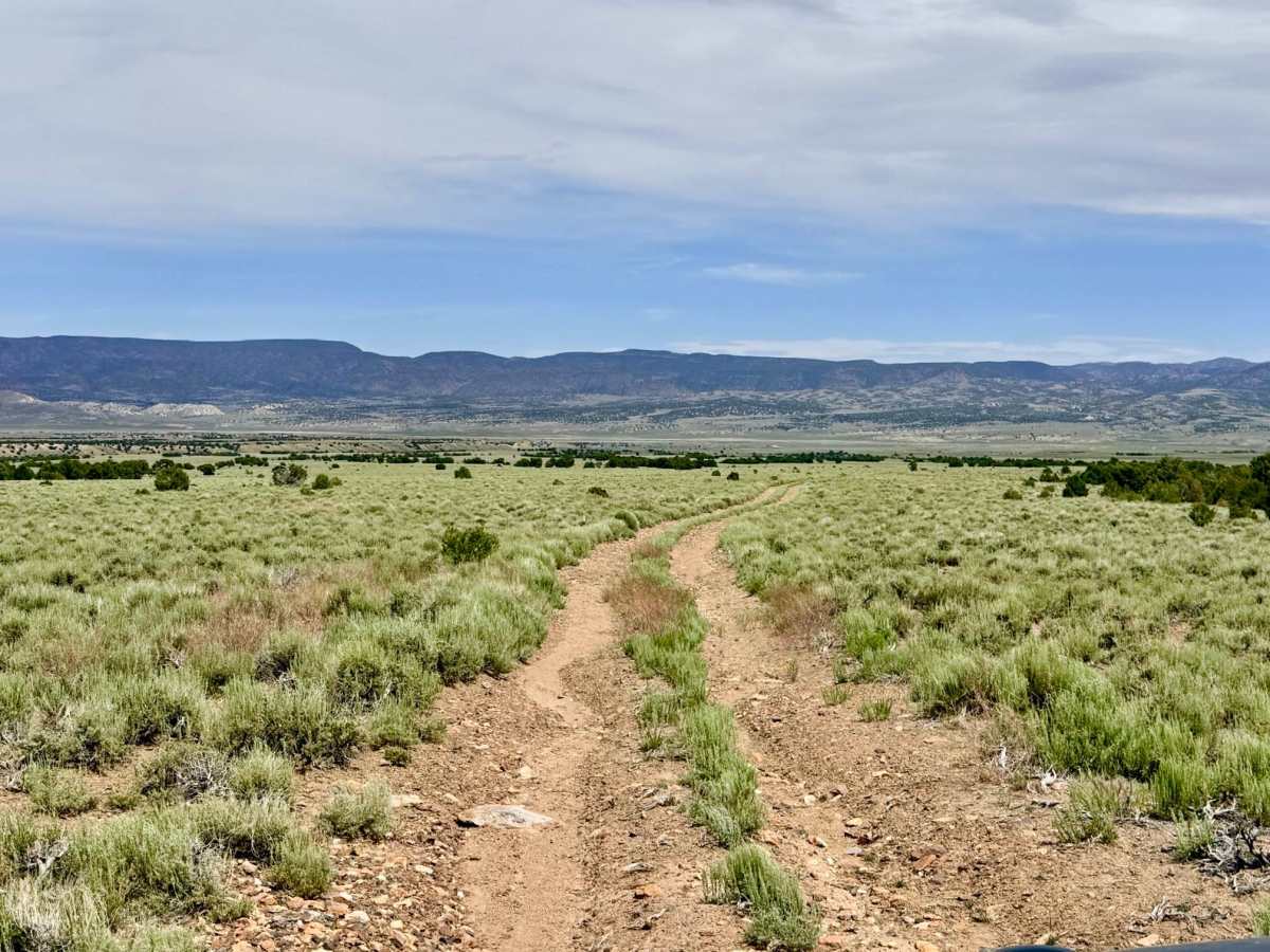 Sawmill Creek - FS 44425 photo 6