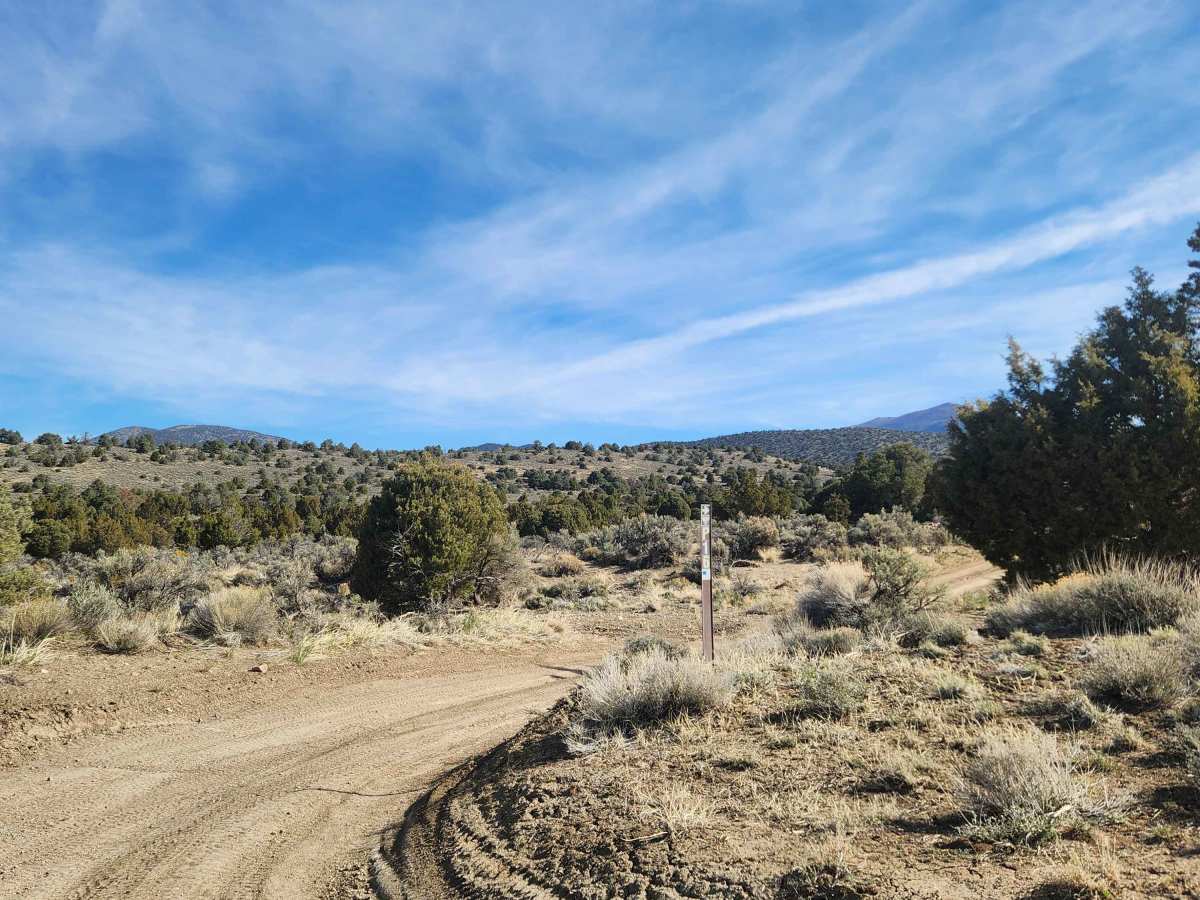 Pine Nuts P-16 Trail photo 3