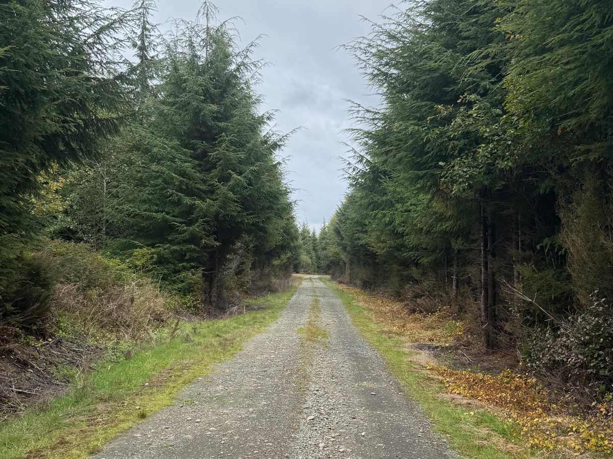 FRC 1122 trail photo