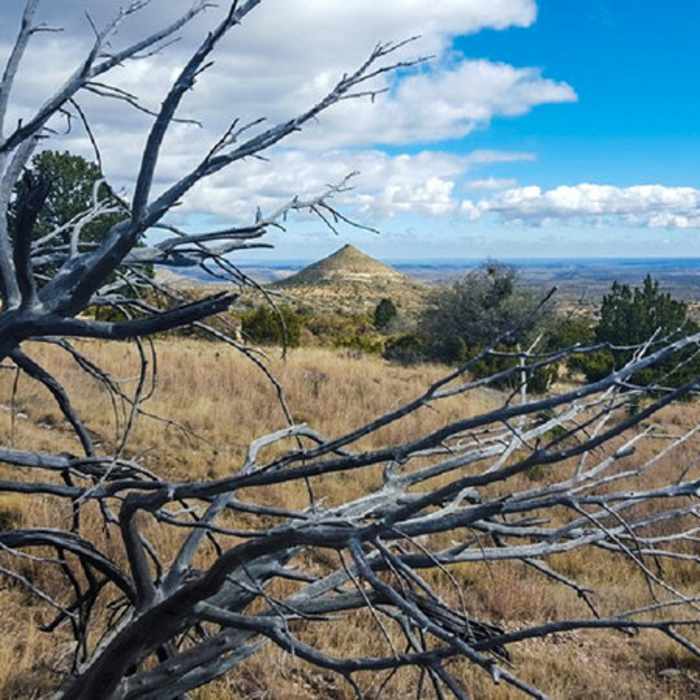 Near Manzanita - Smith Spring Loop