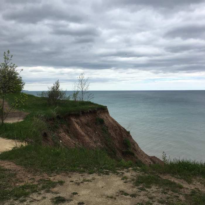 Near Lion's Den Trail