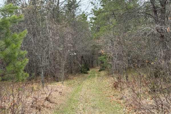 Wandering Trail