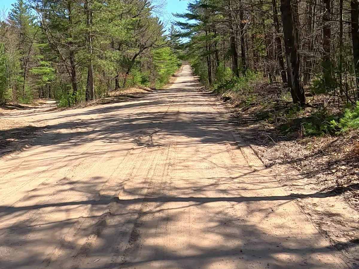 Hughes Lake Road - FS 4328 photo 3