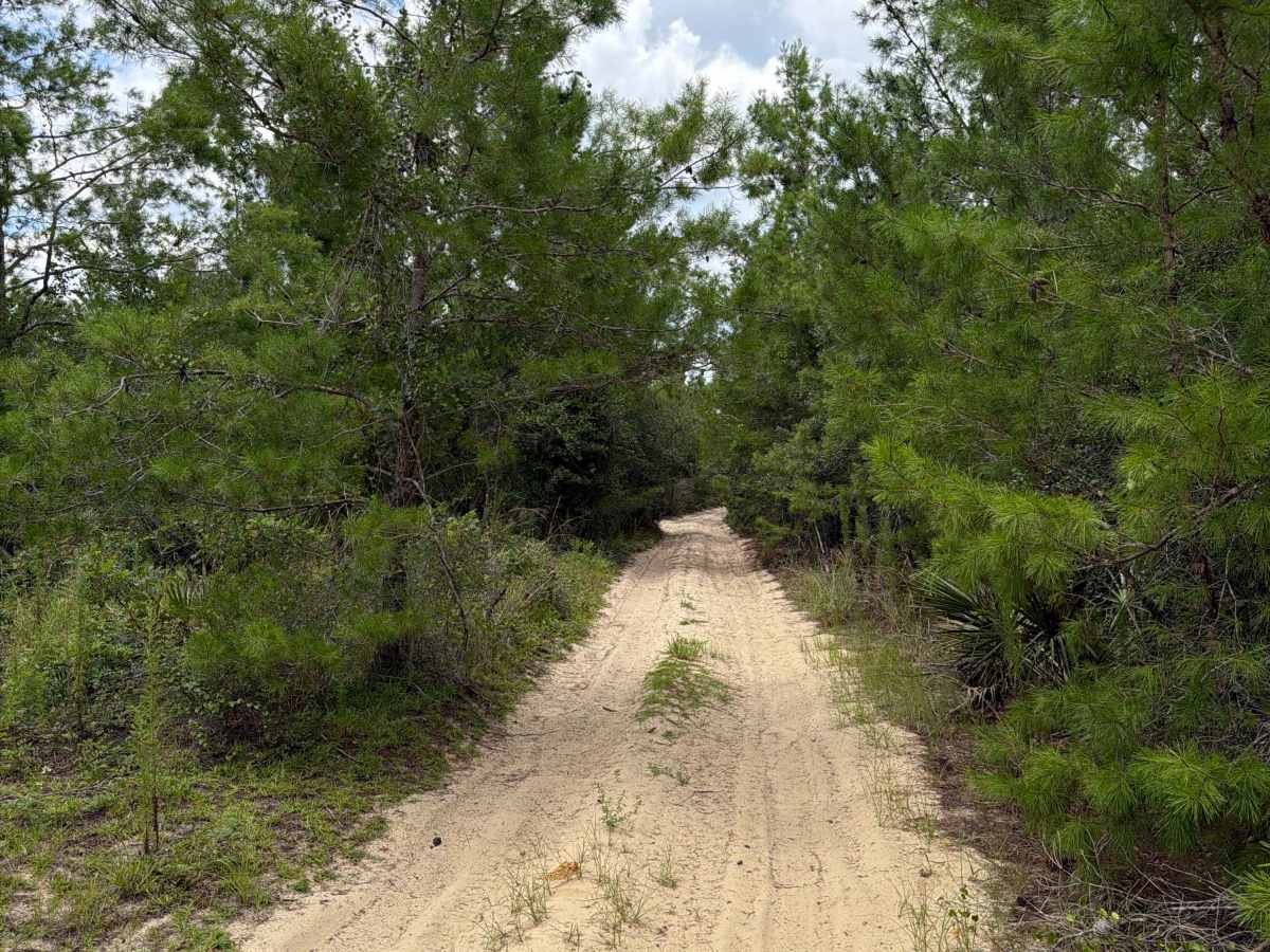 FS 2-1.4 trail photo