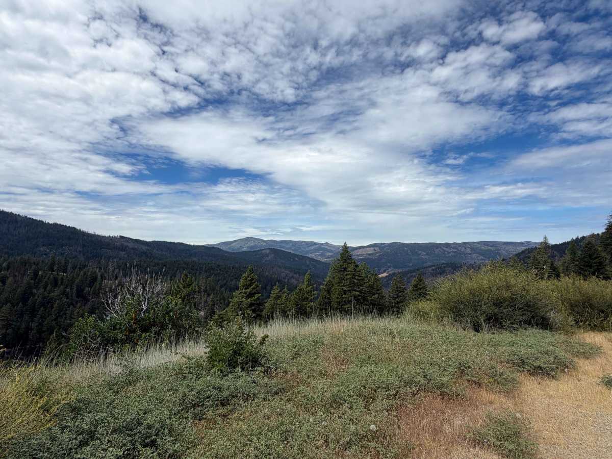 Estell Creek - FS 20N13 trail photo
