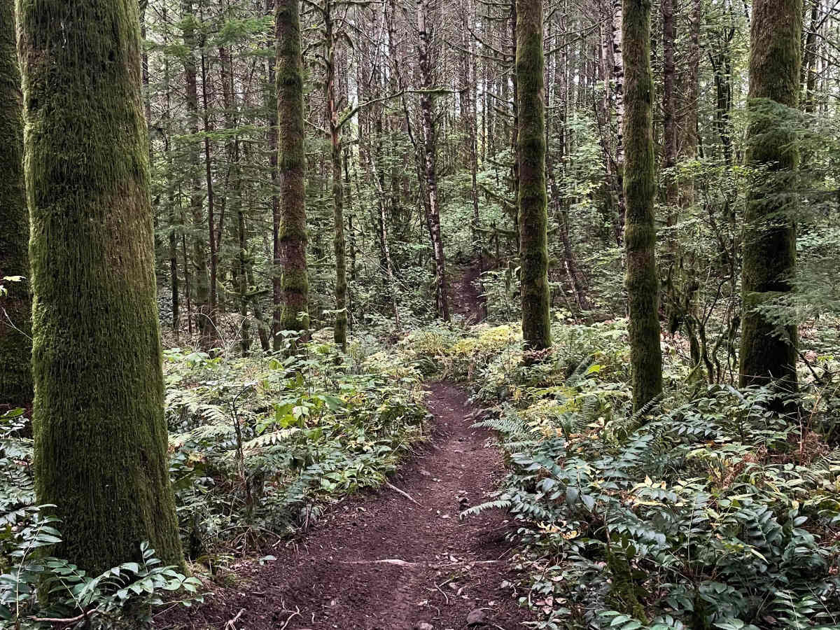 Even Flow photo 6