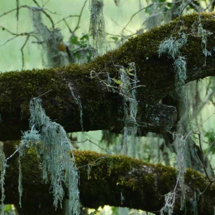 Near Westwood Hills Park