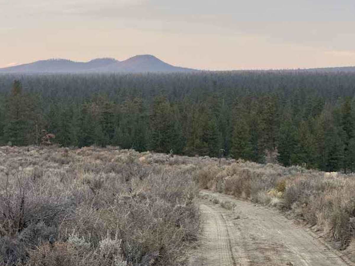 Hole in the Ground Loop - FS 3130 photo 4