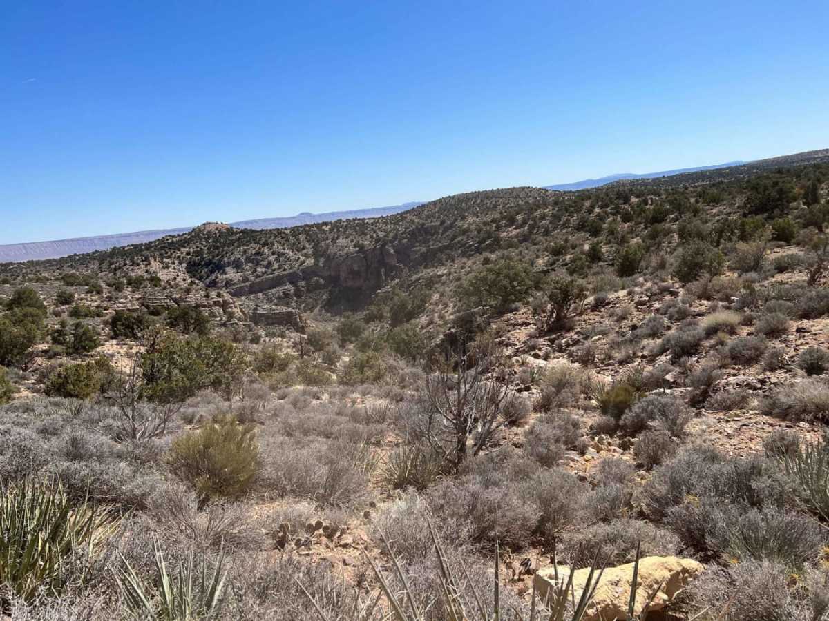 Segmiller - Sunshine Trail Interconnect trail photo