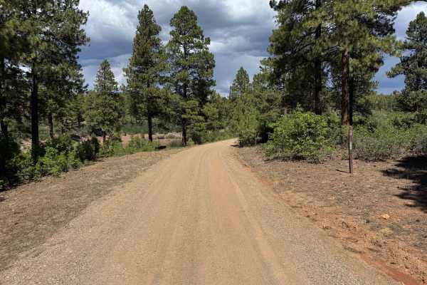 Grouse Point Road