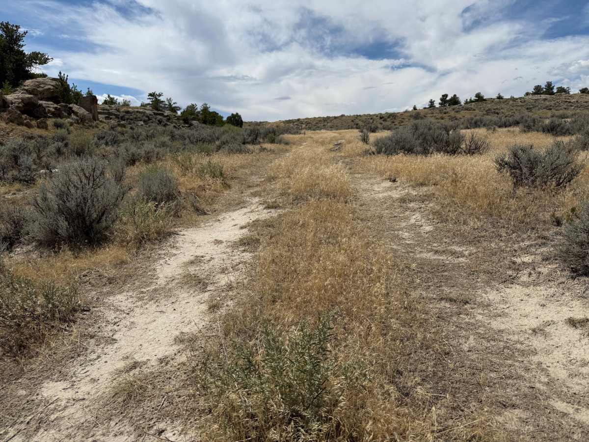 Charlie Trail photo 4