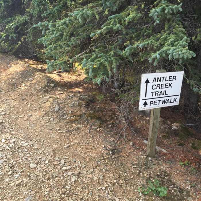 Near Antler Creek Near Antler Creek