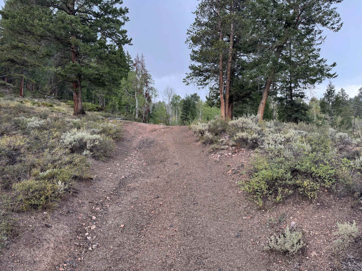 East Willow Creek photo 4