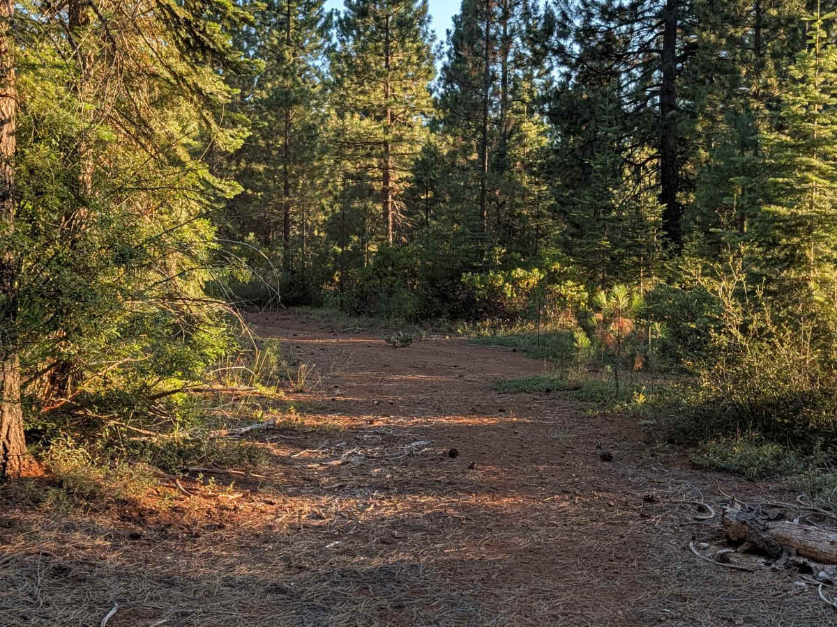White Deer Lake East - FS 40N07A photo 6