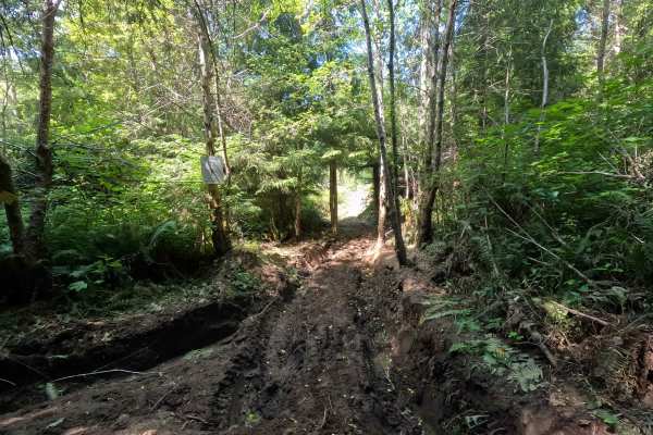 Stump Trail