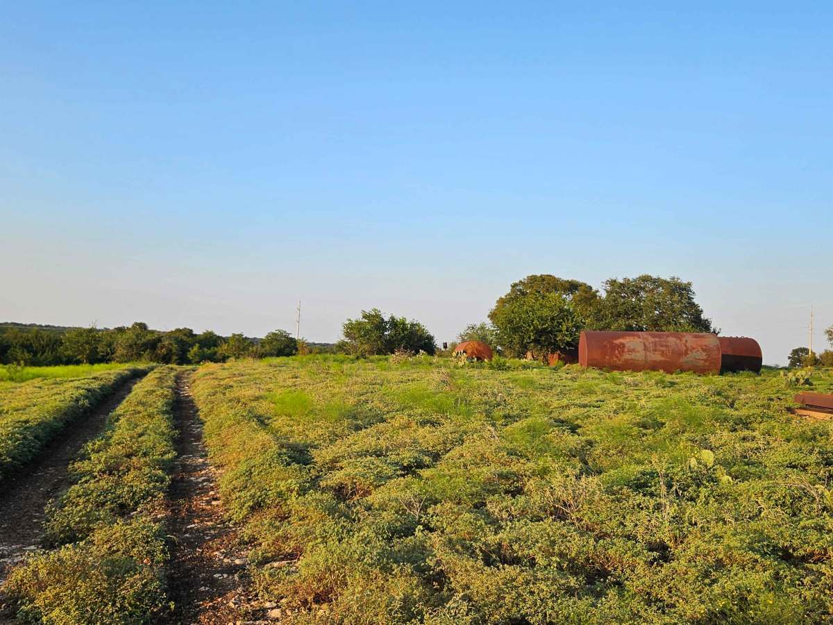 Pony Express photo 6