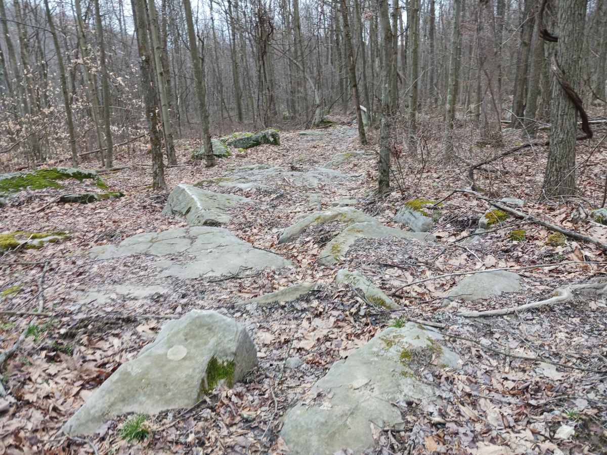 OHV 52 - Rock Run Recreation Area photo 5