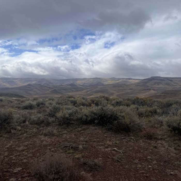 Near Fifteen Mile Road